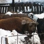 Ulbert Pince Vendégház Szederkény - Környék