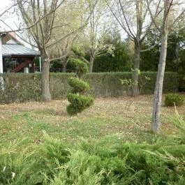 Vadvirág Hotel, Sopron - Környék