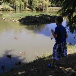 Hunguest Hotel Gyula Gyula - Környék