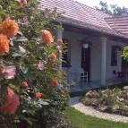 Kék Sziget Pihenőház Abádszalók - Medence/kert