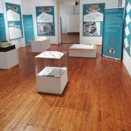 Balatoni Múzeum Keszthely - Egyéb