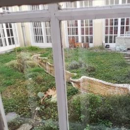 Balatoni Múzeum Keszthely - Egyéb