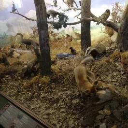 Balatoni Múzeum Keszthely - Egyéb