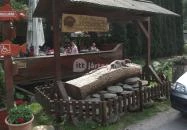 Erdei Halsütöde Lillafüred