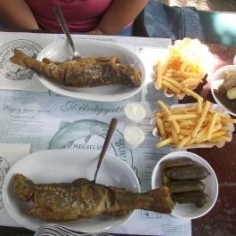 Erdei Halsütöde Lillafüred - Étel/ital