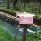 Erdei Halsütöde Lillafüred - Külső kép