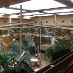 Hotel Dzsungel Nyíregyháza - Belső