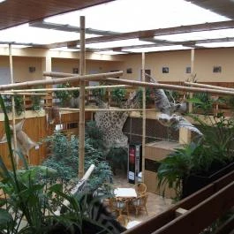 Hotel Dzsungel Nyíregyháza - Belső