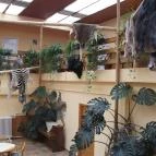 Hotel Dzsungel Nyíregyháza - Belső