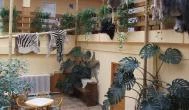 Hotel Dzsungel Nyíregyháza - Belső