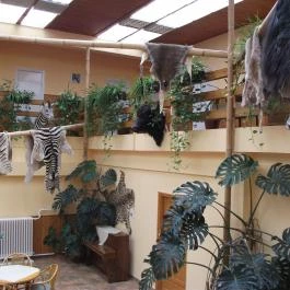 Hotel Dzsungel Nyíregyháza - Belső