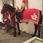 Rákóczi vár Sárospatak - 