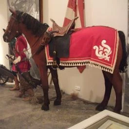 Rákóczi vár Sárospatak - Egyéb