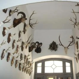 Nádasdy-Kastély, Nádasdladány - 