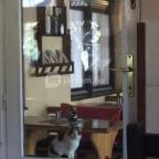 Torony Étterem Fonyód - Étel/ital