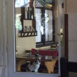 Torony Étterem, Fonyód - Étel/ital