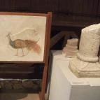 Villa Romana Baláca római villagazdaság Nemesvámos - Baláca - 