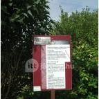 Villa Romana Baláca római villagazdaság Nemesvámos - Baláca - 