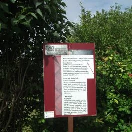 Villa Romana Baláca római villagazdaság Nemesvámos - Baláca - Egyéb