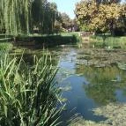 Zempléni Múzeum Szerencs - 