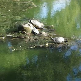 Zempléni Múzeum, Szerencs - 