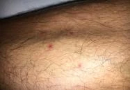 Nagy Bed and Breakfast Badacsony