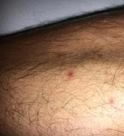 Nagy Bed and Breakfast 