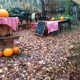 Kis Rigó Vendéglő Pilisszentlászló - Egyéb