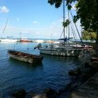 MTA Ökológiai Kutatóközpont Balatoni Limnológiai Intézet Vendégház Tihany - Környék