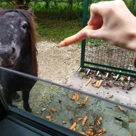 Richter Safari Park, Nagykőrös - Egyéb