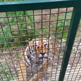 Richter Safari Park, Nagykőrös - Egyéb