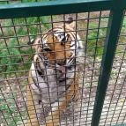 Richter Safari Park Nagykőrös - Egyéb