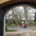 Silvanus Wellness & Konferencia Hotel Visegrád - Környék