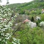 Silvanus Wellness & Konferencia Hotel Visegrád - Környék