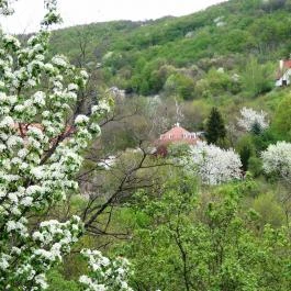 Silvanus Wellness & Konferencia Hotel Visegrád - Környék