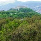 Silvanus Wellness & Konferencia Hotel Visegrád - Környék