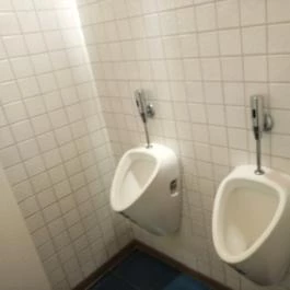 Szamos Múzeum Cukrászdája, Szentendre - Mosdó