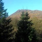 Kőkapu Vadászkastély és Hotel & Apartments Nagyhuta - Környék