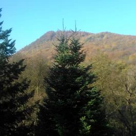 K?kapu Vadászkastély és Hotel & Apartments, Nagyhuta - Környék