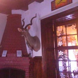 K?kapu Vadászkastély és Hotel & Apartments, Nagyhuta - Belső