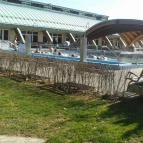 Thermal Panzió Igal Igal - Medence/kert