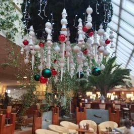 Belenus Thermalhotel Superior, Zalakaros - Egyéb