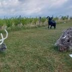 Noé Kertje Élménypark Eger - Egyéb