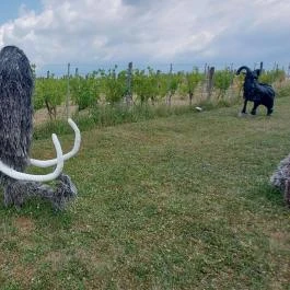 Noé Kertje Élménypark Eger - Egyéb