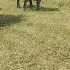 Noé Kertje Élménypark Eger - Egyéb