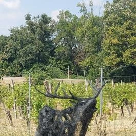 Noé Kertje Élménypark Eger - Egyéb