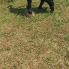 Noé Kertje Élménypark Eger - Egyéb