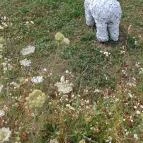 Noé Kertje Élménypark Eger - Egyéb