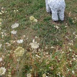 Noé Kertje Élménypark Eger - Egyéb