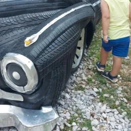 Noé Kertje Élménypark Eger - Egyéb